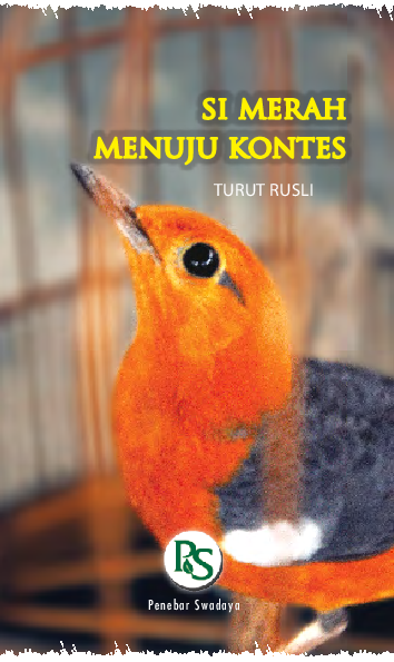 Si Merah Menuju Kontes