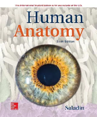 Human Anatomy