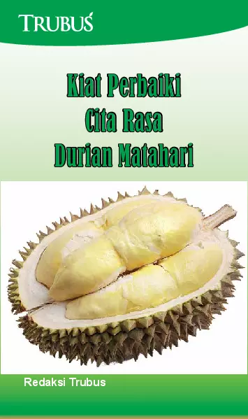 Kiat Perbaiki Cita Rasa Durian Matahari