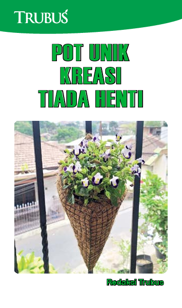 Pot Unik: Kreasi Tiada Henti