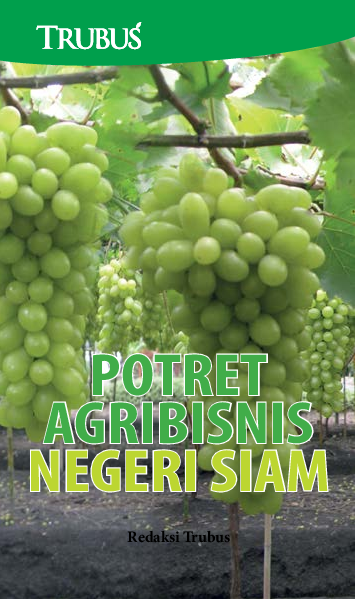 Potret Agribisnis Negeri Siam