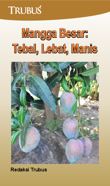 Mangga Besar: Tebal, Lebat, Manis