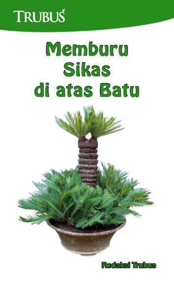 Memburu Sikas di Atas Batu