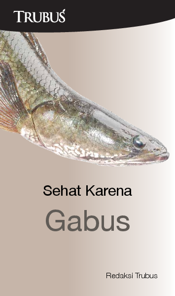 Sehat Karena Gabus