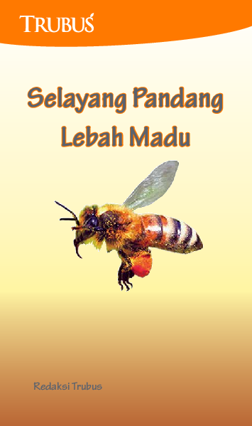 Selayang Pandang Lebah Madu