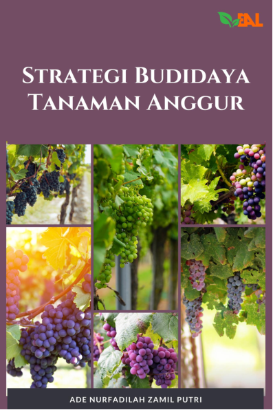 Strategi Budidaya Tanaman Anggur