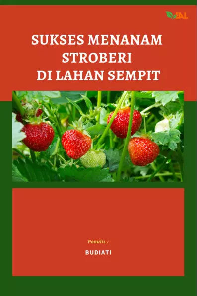 Sukses Menanam Stroberi di Lahan Sempit