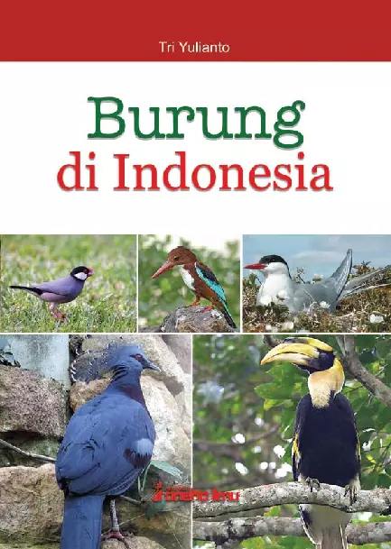 Burung di Indonesia