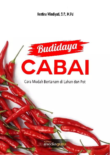 Budidaya Cabai: Cara Mudah Bertanam di Lahan dan Pot