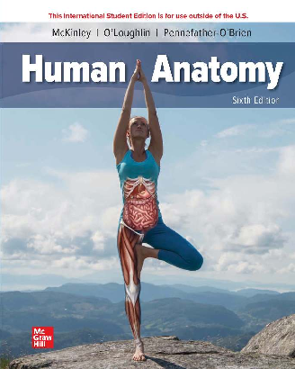 Human Anatomy