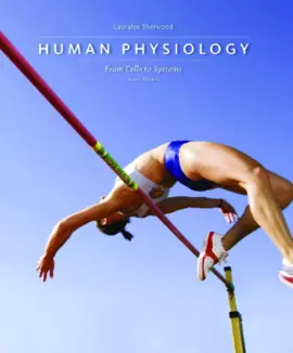 Human Physiology