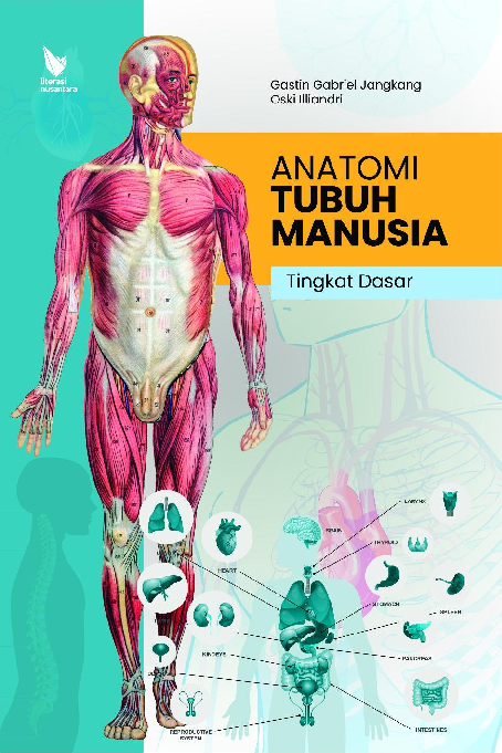 Anatomi Tubuh Manusia Tingkat Dasar