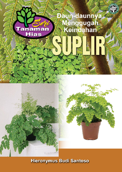 Seri Tanaman Hias_Suplir (Daun-daunnya Menggugah Keindahan)