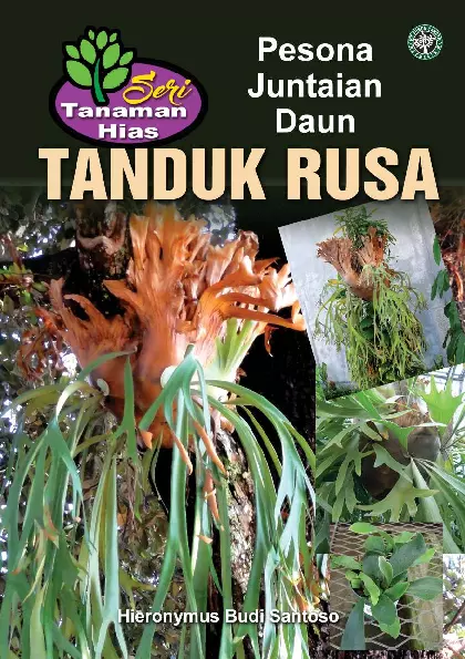 Seri Tanaman Hias: Tanduk Rusa (Pesona Juntaian Daun)