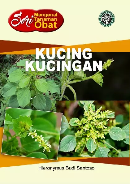 Seri Mengenal Tanaman Obat: Kucing-Kucingan