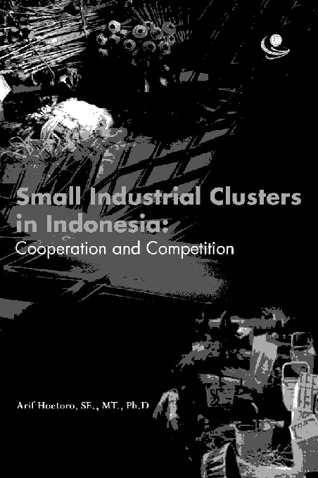 Small Industrial Cluster in Indonesia: Cooperation and Competition