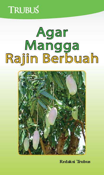 Agar Mangga Rajin Berbuah