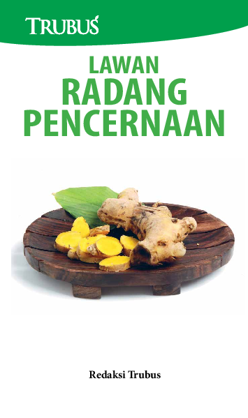 Lawan Radang di Pencernaan