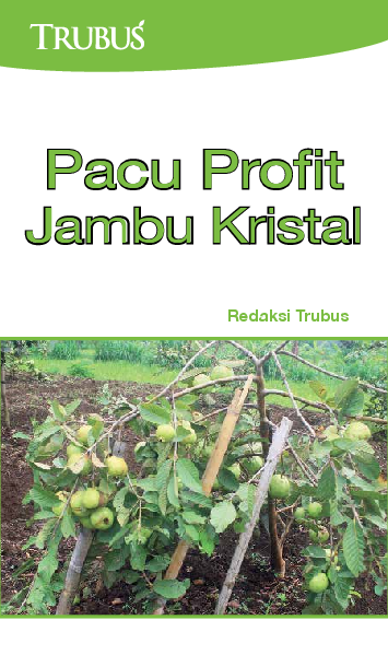 Pacu Profit Jambu Kristal