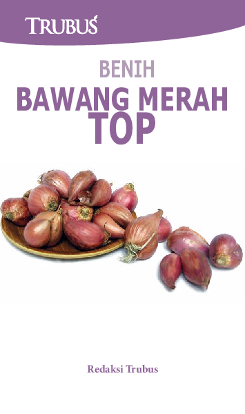 Benih Bawang Merah Top