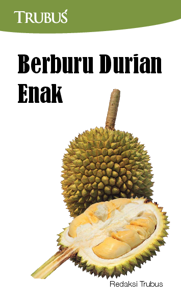 Berburu Durian Enak