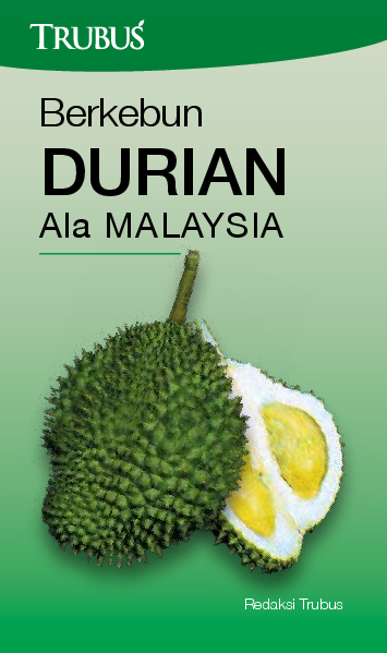 Berkebun Durian ala Malaysia