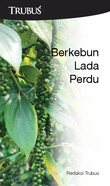 Berkebun Lada Perdu