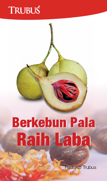 Berkebun Pala Raih Laba