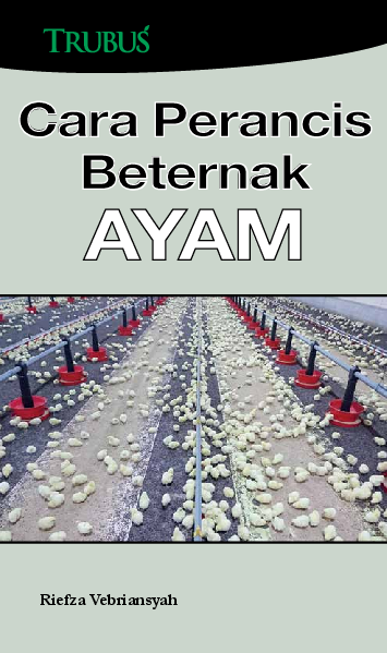 Cara Perancis Beternak Ayam