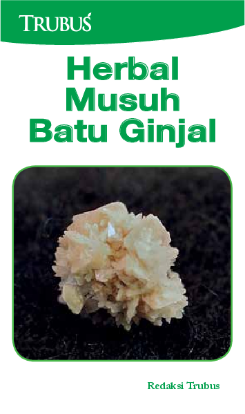 Herbal Musuh Batu Ginjal