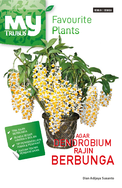 Agar Dendrobium Rajin Berbunga