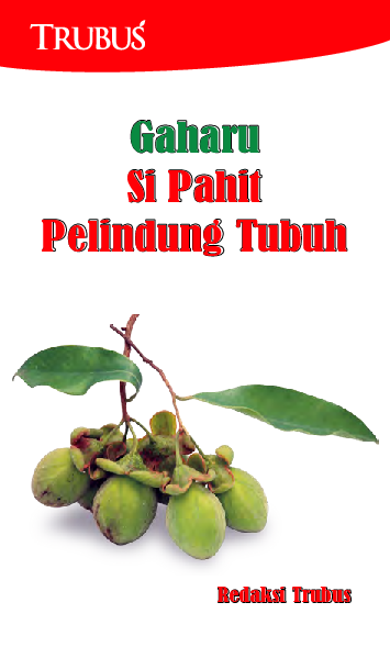 Gaharu Si Pahit Pelindung Tubuh