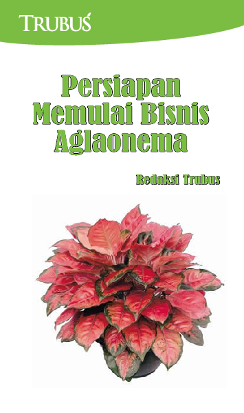 Persiapan Memulai Bisnis Aglaonema