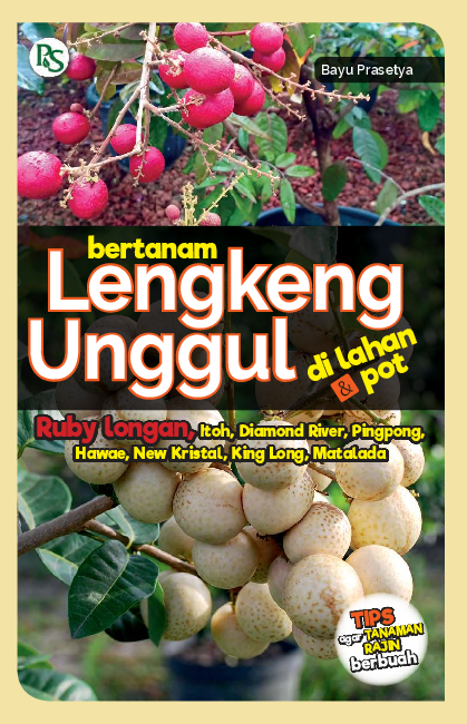 Bertanam Lengkeng Unggul di Lahan & Pot