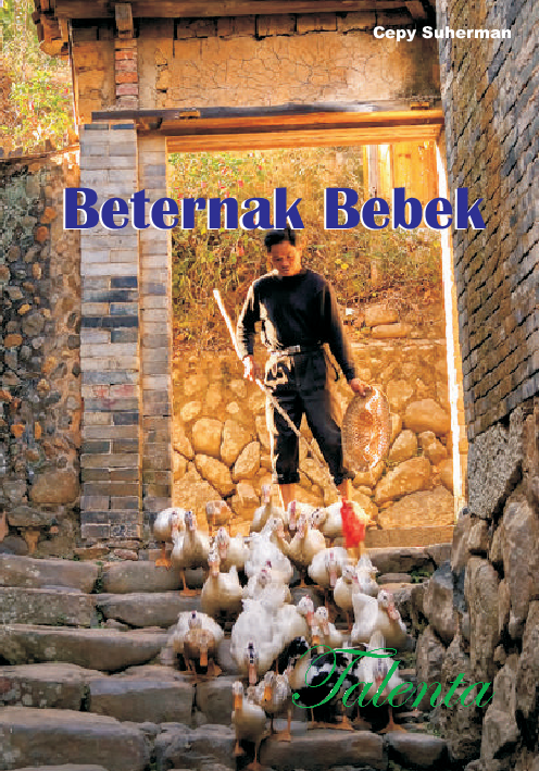 Beternak Bebek