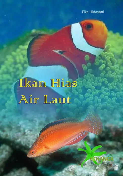 Ikan Hias Air Laut