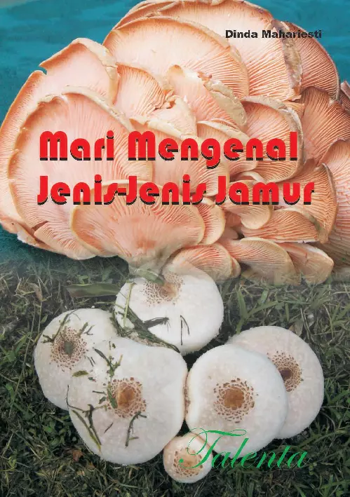 Mari Mengenal Jenis-Jenis Jamur