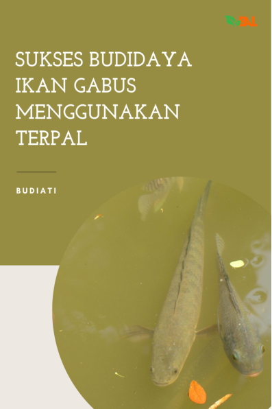 Sukses Budidaya Ikan Gabus Menggunakan Terpal