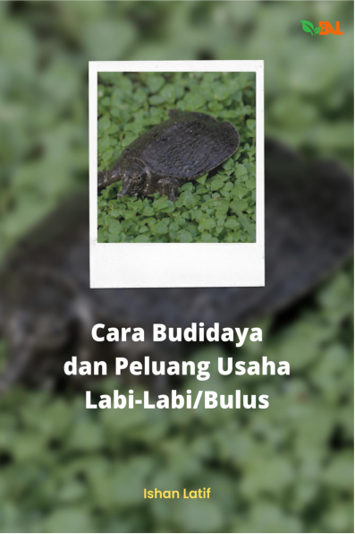 Cara Budidaya dan Peluang Usaha Labi-Labi/Bulus