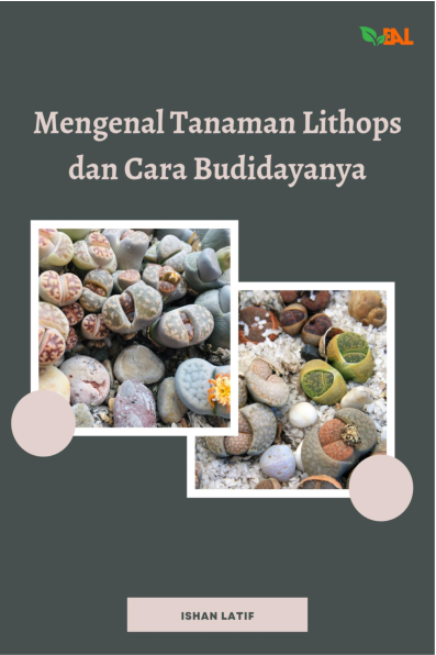 Mengenal Tanaman Lithops dan Cara Budidayanya