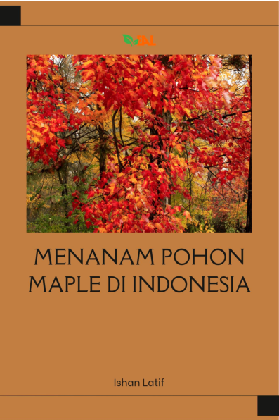 Menanam Pohon Maple di Indonesia