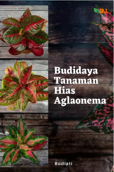 Budidaya Tanaman Hias Aglaonema