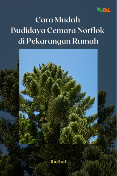 Cara Mudah Budidaya Cemara Norflok di Pekarangan Rumah