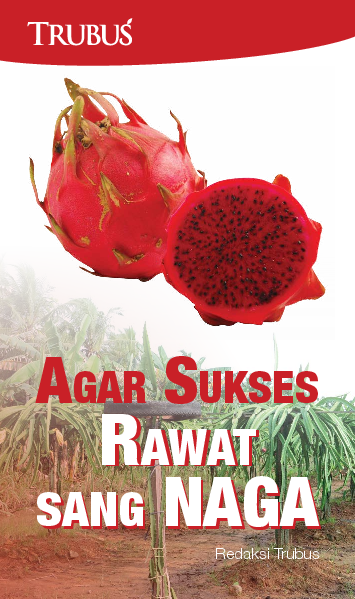 Agar Sukses Rawat Sang Naga