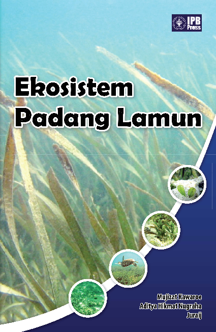 Ekosistem Padang Lamun