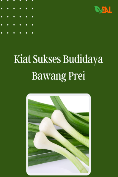 Kiat Sukses Budidaya Bawang Prei