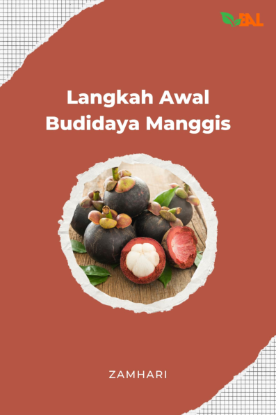 Langkah Awal Budidaya Manggis