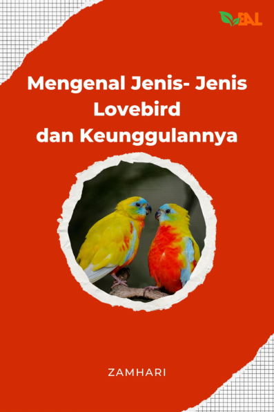 Mengenal Jenis- Jenis Lovebird dan Keunggulannya