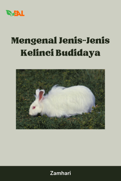 Mengenal Jenis-Jenis Kelinci Budidaya