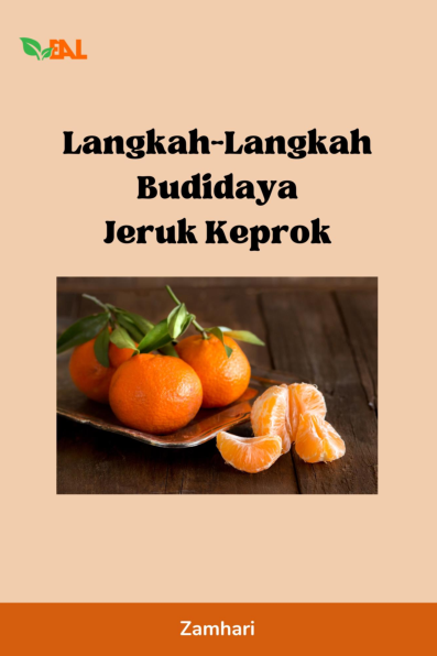 Langkah-Langkah Budidaya Jeruk Keprok